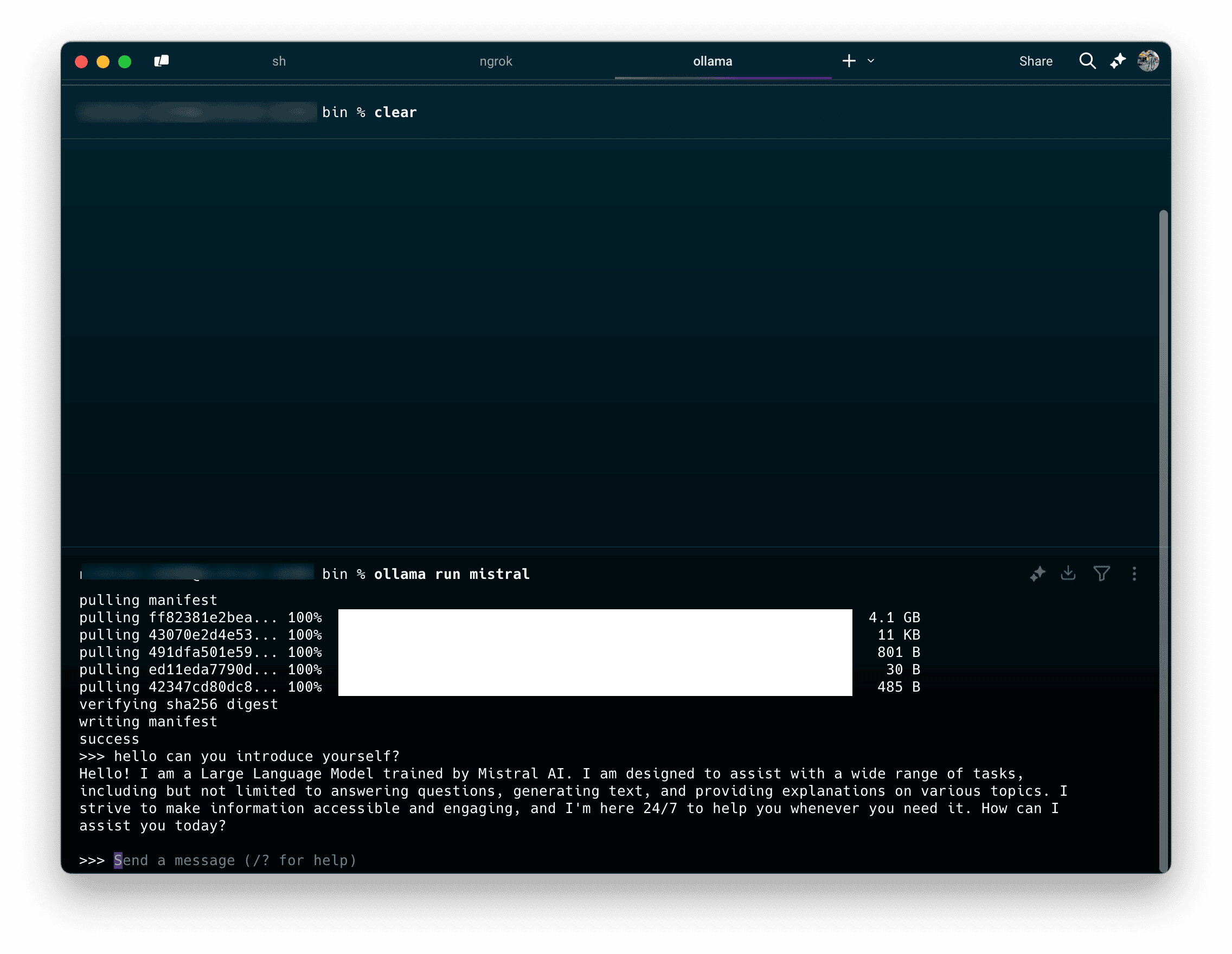 Illustration 4: Setting up Ollama on Local LLMs